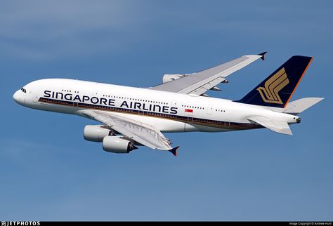 Airline: Singapore Airlines Registration: 9V-SKZ Aircraft Variant: Airbus A380-841 Location: Singapore Changi International Airport Singapore Airline, Airbus A380, Singapore Airlines, Boeing 747 200, Deck Photos, Airport City, Flight Deck, Boeing 747, Aircraft Modeling