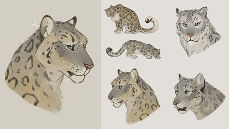 Leopard Sketch, Snow Leopard Drawing, Snow Leopard Art, Feline Anatomy, Leopard Drawing, Leopard Art, Big Cats Art, I'm So Sorry, Warrior Cats Art