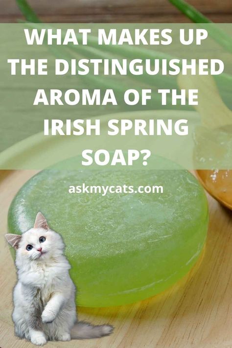 Does Irish Spring Soap Keep Cats Away?
#irish #spring #soap #cat #catlover #catowner Uses For Irish Spring Soap, Irish Spring Soap Hacks, Irish Spring Soap, Spring Soap, Cat Deterrent, Irish Spring, Cat Repellant, Spring Scents, Bath Soap