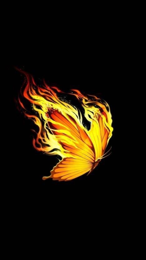 Burning Butterfly Tattoo, Burning Butterfly, Phoenix Butterfly, Butterfly Iphone Wallpaper, Fire Butterfly, Tattoo Papillon, Artistic Wallpapers, Full Hd Wallpaper Download, Fire Wallpaper