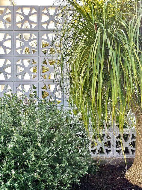 Tonal Bliss: The fun and colourful Palm Springs inspired home | Style Curator Breeze Block Fence, Palm Springs Garden, Styling With Plants, Style Curator, Veggie Gardens, Timber Walls, Palm Spring, Low Maintenance Garden, Vertical Gardens