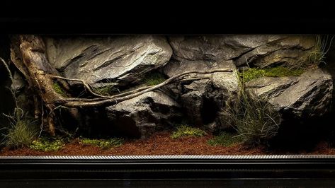 Snake Tanks, Python Enclosure, Snake Habitat, Bioactive Vivarium, Snake Cages, Snake Terrarium, Snake Enclosure, Aqua Decor, Zoo Architecture