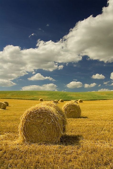 Susan Branch, Hay Bales, Landscape Photography Nature, Rural Landscape, Alam Yang Indah, Art Challenge, Watercolor Landscape, Landscape Photos, Art Reference Photos