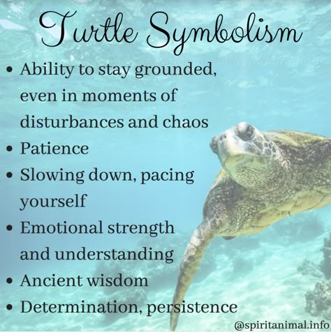 Turtle Meaning, Turtle Spirit Animal, Turtle Symbolism, Turtle Quotes, Earth Symbols, Spirit Animal Meaning, Sea Turtle Tattoo, Animal Meanings, Turtle Tattoo Designs