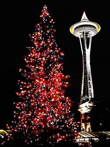 #Seattle Winter Lights Pedicab Tour Washington State | Holiday activities | family activities Tell Me A Secret, Seattle Christmas, Seattle Winter, Christmas In America, Perspective Photos, Space Needle Seattle, Evergreen State, Washington Usa, Winter Light