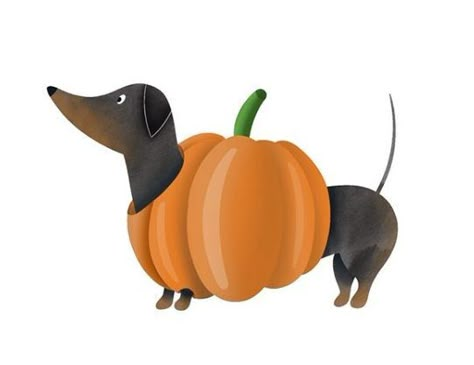 Fall Dachshund, Sausage Dog Illustration, Coffee Illustrations, American Bull, Brown Dachshund, Long Dog, Dog Mixes, Coffee Illustration, Weenie Dogs