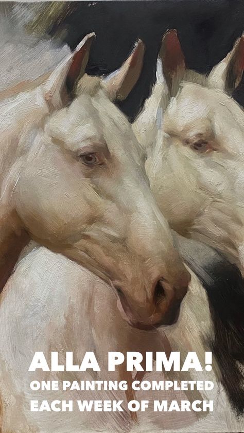 Jennifer Gennari, White Horse Painting, Ok Fine, Horse Oil Painting, Equestrian Art, Horse Portrait, Enroll Now, Equine Art, White Horses