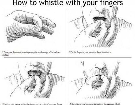 How to whistle with your fingers How To Whistle, 1000 Lifehacks, Hack My Life, 1000 Life Hacks, Survival Life Hacks, Helpful Things, Good Things To Know, Things To Learn, Survival Life