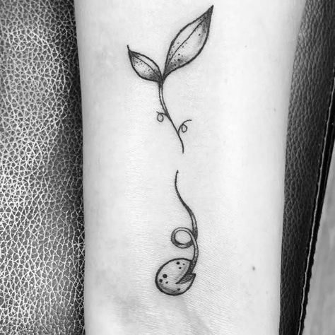 Kidney Bean Tattoo, Seed Sprouting Tattoo, Bean Tattoo Ideas, Soybean Tattoo, Beans Tattoo, Bean Sprout Tattoo, Peas In A Pod Tattoo, Seedling Tattoo, Sprout Tattoo