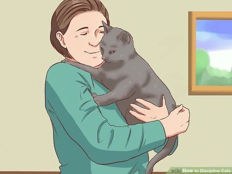 3 Ways to Discipline Cats - wikiHow Train A Cat, Raising Kittens, Spoiled Cats, Cat Steps, Cat Urine, Animal Control, Cat Training, Cat Behavior, Cat Facts