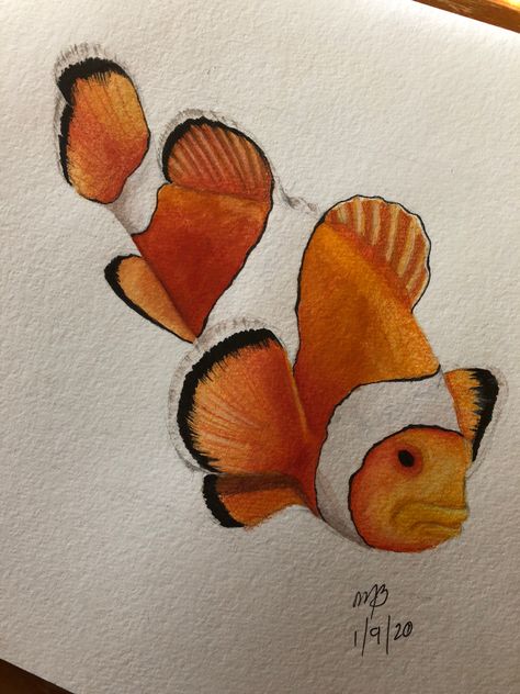 Shading Ideas, Fish Project, White Doodle, Fish Rocks, Pencil Shading, Black Book, Black Books, Clown Fish, Fish Art