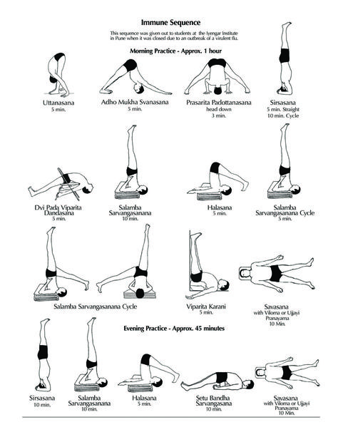 Home Practice Immune Sequence | Ramamani Iyengar Memorial Yoga Institute (RIMYI), Poona, India: http://yogaforbeginners-andmore.blogspot.com/2014/01/yoga-home-practice-immune-sequence.html Bks Iyengar Yoga, Iyengar Yoga Poses, Morning Yoga Sequences, Bks Iyengar, Yoga Series, Yoga Home, Yoga Ashtanga, Ashtanga Vinyasa Yoga, Frosé