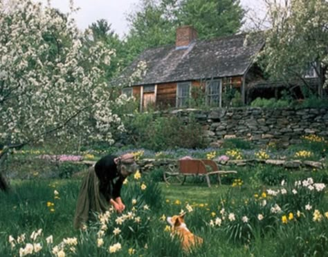 Simplified Life, Tasha Tudor, Cellar Door, Cottage Core Aesthetic, August 28, Cottagecore Aesthetic, American Spirit, + Core + Aesthetic, English Cottage