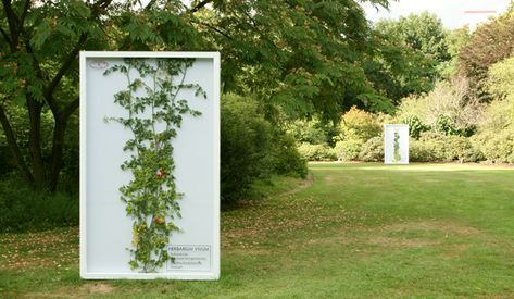 Herbarium Vivum, site specific installation Wageningen, Driessens & Verstappen, 2013 Botanical Exhibition, Bio Art, Botanical Illustrations, The Exhibition, A Frame, Botanical Illustration, Artist Inspiration, To Grow, Outdoor Structures