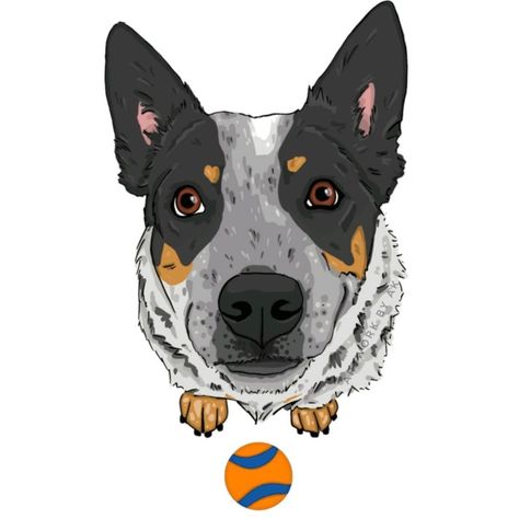 Shadow Riders, Cattle Dogs Rule, Pusheen Cute, Blue Heeler Dogs, Felt Animal Patterns, Dog Logo, Mom Art, Dog Rules, Blue Heeler