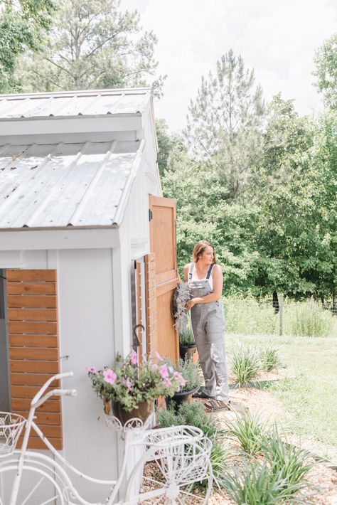 What Should Be Inside A Chicken Coop? The Essentials To Make Your Flock's House A Home! Inside A Chicken Coop, Old Chicken Coop, Inside Chicken Coop, Pine Shavings, Chicken Poop, Dust Bath, Chicken Coop Designs, Egg Production, Nesting Box