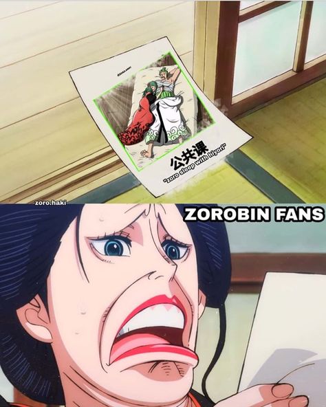 Robin Meme, Zoro X Robin, One Piece Funny Moments, Zoro And Robin, Anime Funny Moments, One Piece Funny, One Piece Images, One Piece Comic, One Piece Pictures