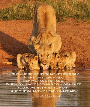 Lion And Lioness Love Quotes Lioness with cups at water Lioness And Cubs, Regnul Animal, Wild Animals Pictures, Cheetahs, A Lion, Hyena, Animal Planet, Animal Photo, Nature Animals