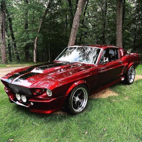 Auto Jeep, Shelby Mustang Gt500, Mobil Mustang, Shelby Gt 500, Gt 500, Vintage Jeep, Mustang Gt500, Shelby Mustang, Auto Retro