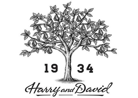 Steven Noble, Harry And David, Magazine Web Design, Jp Morgan, Wood Logo, Artist Bio, Stock Art, Design Magazine, Identity Logo