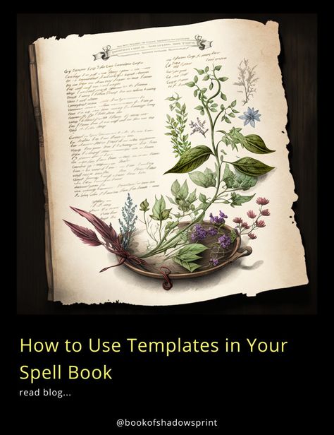 Streamline your magical writings with spell book templates! 📜✒️ Whether you're a novice witch or an adept magician, this guide shows you how to use templates to organize your spells, rituals, and incantations. Learn the benefits of structured layouts and how they can enhance your magical record-keeping. Bring clarity and focus to your craft today and let your spell book be a reflection of your magical expertise. #SpellBook #Witchcraft #MagicalTemplates #BookOfShadows #OrganizedMagic Grimoire Illustration, Herbal Grimoire, Herb Art, Occult Decor, Enchanted Book, Types Of Magic, Guided Art, Herbal Magic, Altar Cloth