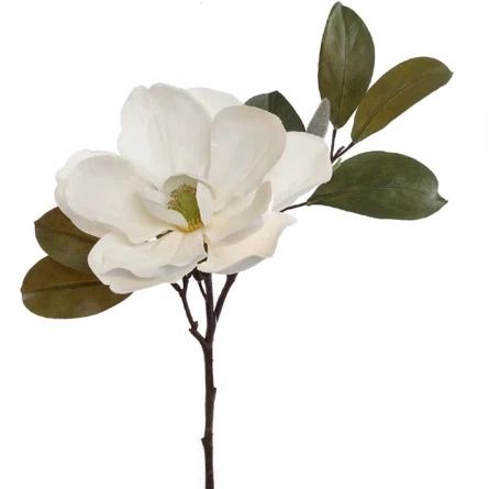 Primrue Magnolia Sprays | Wayfair Drawn Plants, Flower Magnolia, Floral Reference, Elegant Floral Arrangements, Flower References, Magnolia Branch, Flower Background Iphone, Flower Reference, Dorm Art