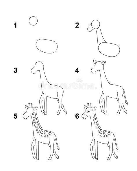 How to draw Giraffe with 6 step cartoon illustration with white background. Made by adobe Photoshop stock illustration Draw Giraffe, Step By Step Sketches, Giraffe Drawing, How To Draw Steps, Draw Step By Step, Kids Pages, Cute Fish, Monkeys Funny, Sketches Simple