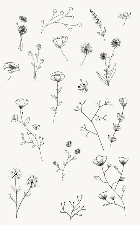 Dainty Flower Doodles, Boho Plants Drawing, Cute Flower Doodles Aesthetic, Botanical Pencil Drawings, Pretty Flower Doodles, Boho Flowers Drawing, Minimalistic Flower Drawing, Tiny Flowers Drawing, Flower Line Art Simple