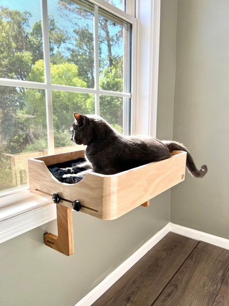 20x14 Wider Space & Happier Cats_cat Window Perch_sturdy-safe Support Legs_installed-removed 1 Minute_no Tools No Nails_cat Lover Gift - Etsy Cat Spaces In Home, Diy Cat Window Perch, Cat Perch Diy, Pet Advertising, Cat Shelf, Cat Window Perch, Window Perch, Cat Things, Tiny Cats