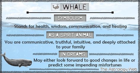 Whale Symbolism Spirit Animal Dream Whale Tail Meaning, Whale Symbolism, Whale Meaning, Animal Totem Spirit Guides, Spirit Animal Meaning, Totem Animals, Animal Meanings, Animal Tarot, Spirit Animal Totem