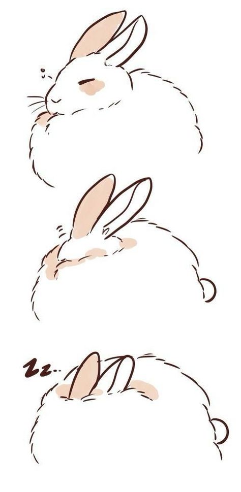 HOW DO YOU DO THAT?!?!? Sleepy Bunny, Bunny Drawing, Rabbit Art, Bunny Art, 캐릭터 드로잉, Kawaii Shop, Cute Animal Drawings, Art And Illustration, Cute Doodles