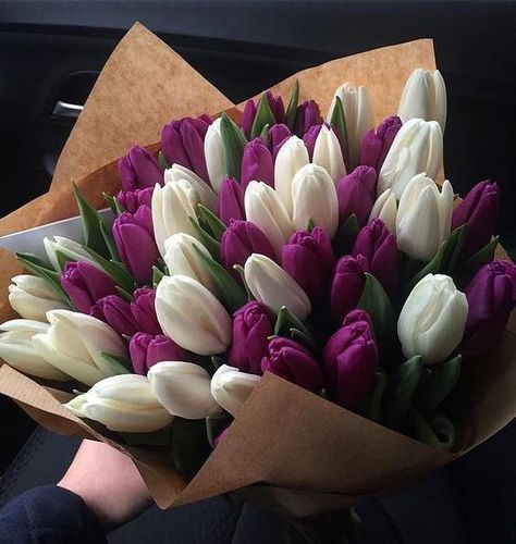 Tulip Flower Pictures, Luxury Flower Bouquets, Boquette Flowers, Tulip Bouquet, Nothing But Flowers, Purple Tulips, Flower Therapy, White Tulips, Beautiful Bouquet Of Flowers