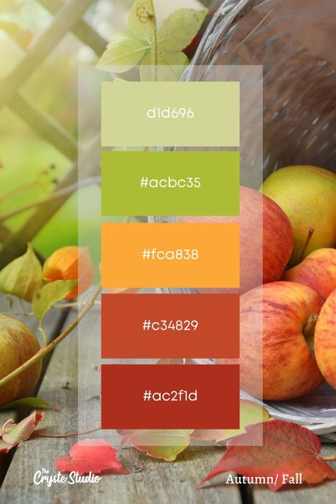 Fall/Autumn color palette scheme for color inspiration with hex codes for digital painting. (9/9) Follow the Cryste Studio for more color inspirational palettes. Pumpkin Pie Color Palette, September Color Palette Hex Codes, Candy Corn Color Palette, Apple Orchard Color Palette, Autumn Color Palette Hex Codes, Harvest Color Palette, Fall Color Palette Hex Codes, Autumn Colors Palette, Color Schemes With Hex Codes