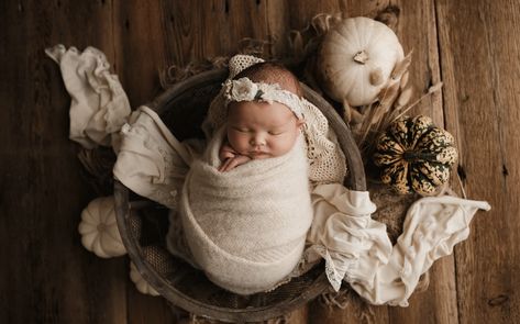 Newborn Photography Pumpkin, Spooky Newborn Photoshoot, Fall Themed Newborn Photos, Pumpkin Newborn Photos, Newborn Girl Fall Photoshooting Ideas, Fall Newborn Photo Ideas, Fall Newborn Photoshoot Ideas, Fall Newborn Session, Fall Theme Newborn Photo Shoot