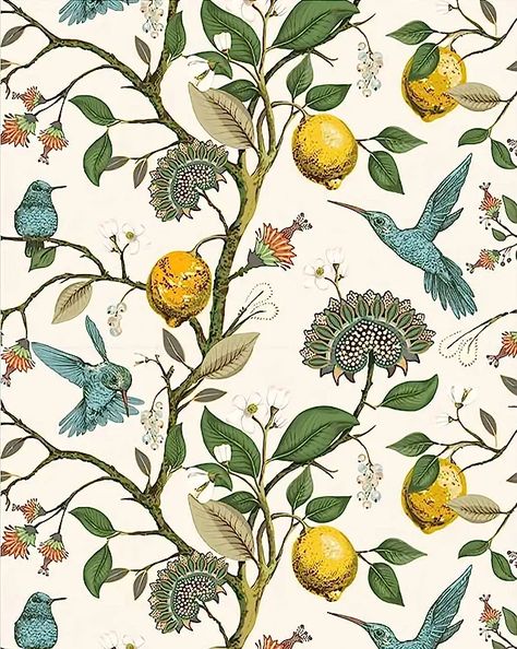 Hummingbird Wallpaper, Paradise Wallpaper, Sandberg Wallpaper, Birds And Flowers, Bird Wallpaper, A Wallpaper, Wallpaper Removable, Wallpaper Size, Lemon Tree