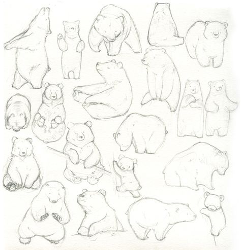 Burung Kakatua, Bear Sketch, Animal Sketch, 심플한 그림, Easy Animals, Bear Drawing, Bear Character, Bear Illustration, Animal Drawing