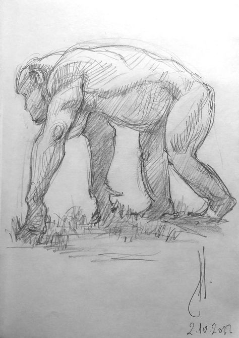 Chimpanzee Pan troglodytes drawing with graphite pencil Figure Sketching, Portrait Sketches, Sketchbook Journaling, Animal Sketches, Realistic Art, Arte Animal, A Pencil, Art Poses, Primates