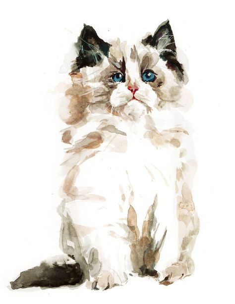 "High quality giclee print of an original watercolor and gouache painting by Megan Nielsen.  Printed with pigment-based inks on 260g, 100% cotton, acid free paper. This adorable Ragdoll kitten painting is part of a kitten series, be sure to check out the others! Available in a 5\" x 7\" or 8\"x10\" print  Each print is hand signed and dated  Prints are carefully packaged in a protective sleeve with backing board and shipped in a rigid mailer." Kitten Painting, Learn Watercolor Painting, Watercolor Girl, Hand Painted Cat, Art Mignon, Bookmark Craft, Water Colours, Ragdoll Kitten, Watercolor Paintings Easy