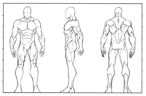 man anatomy turnaround Drawing Back Reference, Character Reference Sheet, Character Turnaround, Drawing Superheroes, Character Design Cartoon, Character Model Sheet, Human Figure Drawing, Sheet Template, Model Sheet