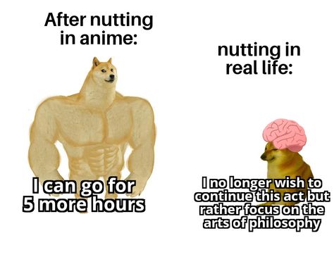 That post nut clarity hits hard - ThorGift.com - If you like it please buy some from ThorGift.com Bf Memes, Cool Memes, Anime Dog, Morning Cuddles, Couple Memes, Dog Meme, Programmer Humor, Funny Relationship Memes, Boyfriend Memes