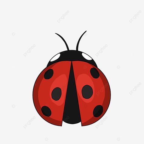 Ladybug Insect Drawing, Ladybug Animal, Ladybug Clipart, Ladybug Drawing, Cartoon Ladybug, Red Insects, Bugs Drawing, Red Clipart, Insect Clipart