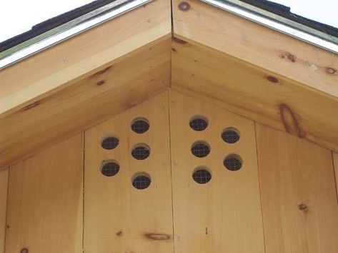 [ IMG] Chicken Coop Ventilation, Coop Ventilation, Portable Chicken Coop, Chicken Coup, Diy Chicken Coop Plans, Chicken Life, Coop Design, Best Chicken Coop, Chicken Coop Designs