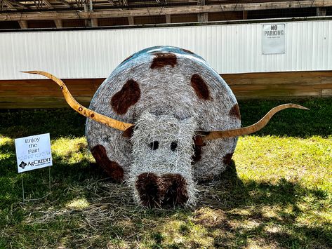 Haybale Decorating Contest, Fall Painted Hay Bale Ideas, Fall Straw Bale Display, Farm Petting Zoo Ideas, Fair Decorations Ideas, Hay Bale Painting Ideas, Farm Halloween Decor, Round Bale Decorating Ideas, Christmas Hay Bales