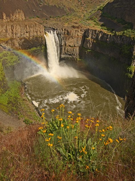 Pasco Washington, Palouse Falls, Washington Trip, Washington State Parks, Camping Park, Top Places To Travel, Washington Park, Oregon Washington, Beautiful Waterfalls