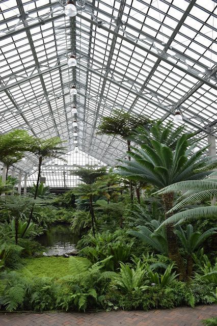 Garfield Park Conservatory, Victorian Greenhouses, Conservatory Greenhouse, Conservatory Garden, Inspiration Nature, Garden Greenhouse, Greenhouse Gardening, March 7, Green House