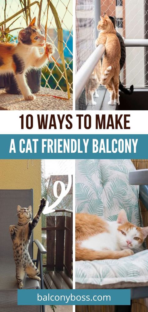 These 10 ways to make a cat friendly balcony will provide a safe, stimulating outdoor space for your cats, even if you live in an apartment or condo. Cat-proofing, building a catio (cat patio), and sun spots or just the beginning. Click through to make your outdoor space a kitty oasis, even with urban living. Cat Friendly Balcony, Cat House Design, Cat Proof Balcony, Cat House Outdoor, Aesthetic Kitten, Pets Aesthetic, Catio Ideas, Cat Apartment, Pet Friendly Flooring