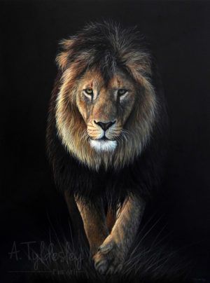 Top 5 Colours to Choose When Painting a Lion in Acrylics & Oils - Studio Wildlife Realistic Lion Drawing, Lion Painting Acrylic, Lion Canvas Painting, Colorful Animal Paintings, Painting Realistic, Lion Artwork, Tiger Painting, Lion Painting, Lion Images