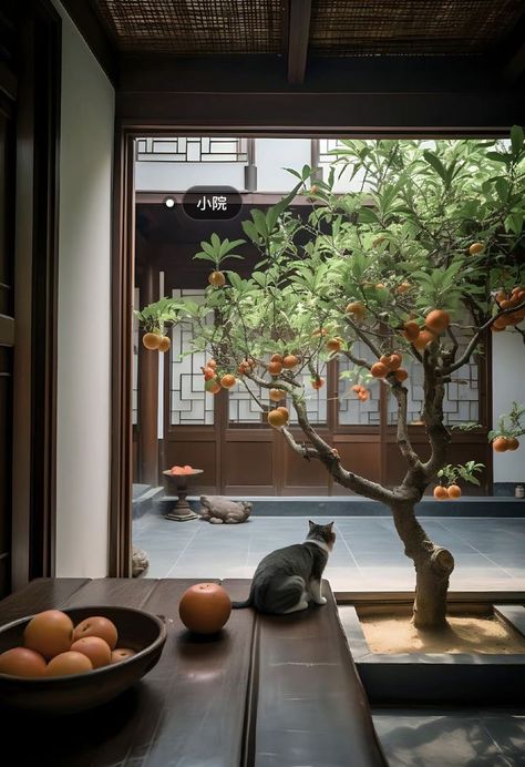 Traditional Japanese House Aesthetic, Japanese House Aesthetic, Japanese House Design Traditional, Japanese Home Decor Traditional, Modern Asian House, Asian House, Japanese Garden Landscape, Chinese House, Japanese Home Design