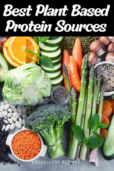 As more people embrace plant-based diets, the importance of finding high-quality protein sources is greater than ever. #plant based protein sources low carb #plant based foods list protein sources #plant based protein sources list #plant based complete protein sources #vegan protein sources plant based #top plant based protein sources #plant based sources of protein #plant based protein sources vs meat #good sources of plant based protein Protein Sources Low Carb, Non Meat Protein Sources, Plant Based Foods List, Plant Protein Sources, Plant Based Protein Sources, Nutritarian Diet, Vegan Protein Sources, Sources Of Protein, Plant Based Foods