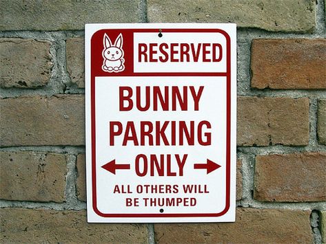 1000+ images about Bunny Bi lines on Pinterest | Rabbit, Bunnies ... Rabbit Sign, Crazy Bunny Lady, Bunny Lady, All About Rabbits, Bunny Room, Pet Bunny Rabbits, Rabbit Pictures, Parking Sign, Family Easter